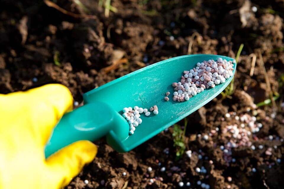 عوامل مخلبية: قوة رئيسية للإنتاج الزراعي المستدام والفعال